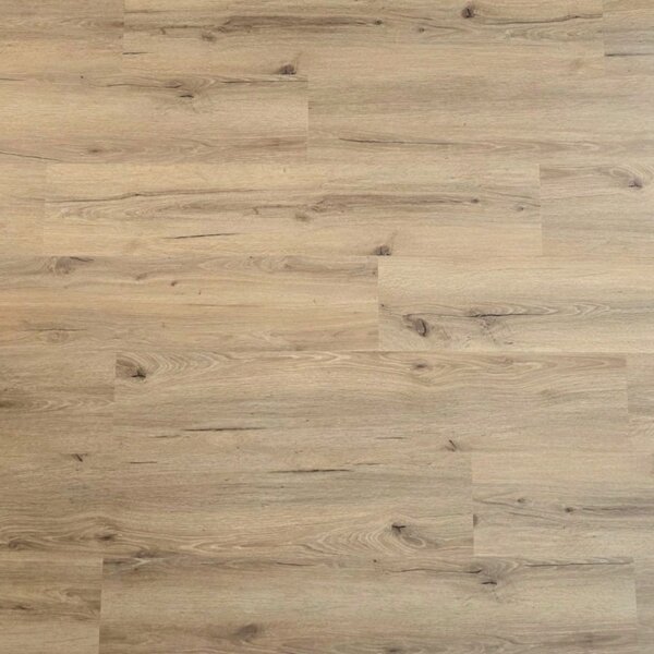 Klebevinyl XL Graciosa 364 Eiche beige 2,5mm massiv TAMI Life