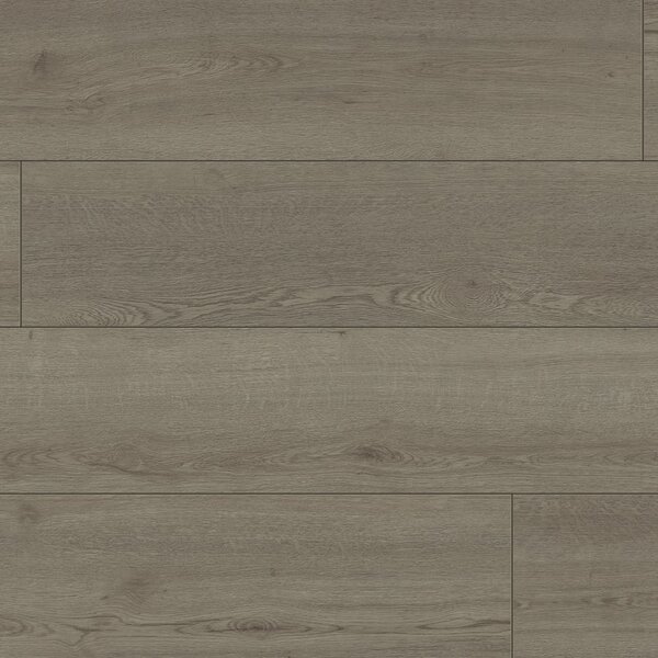 Klebevinyl Mindoro 339 Eiche hellgrau 2,5mm massiv TAMI Life
