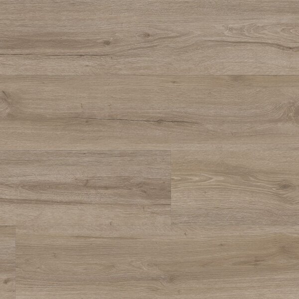 Vinylboden Mago 453 Eiche beige Klicksystem 2957225,5mm SPC TAMI Life